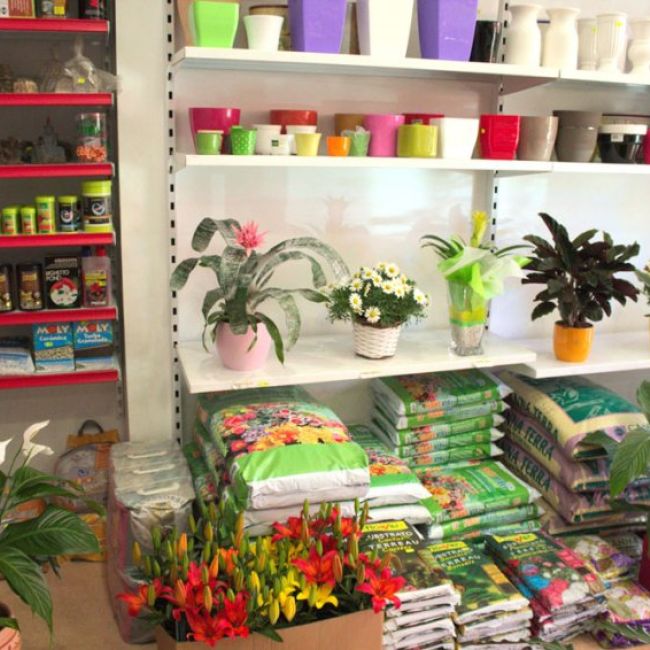 Árboles, plantas y semillas